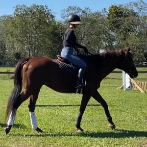 Meet your Posher, Mandi